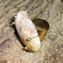 Load image into Gallery viewer, Crazy Lace Agate Elongated Oval Stone &amp; Brass Metal Ring Size 10
